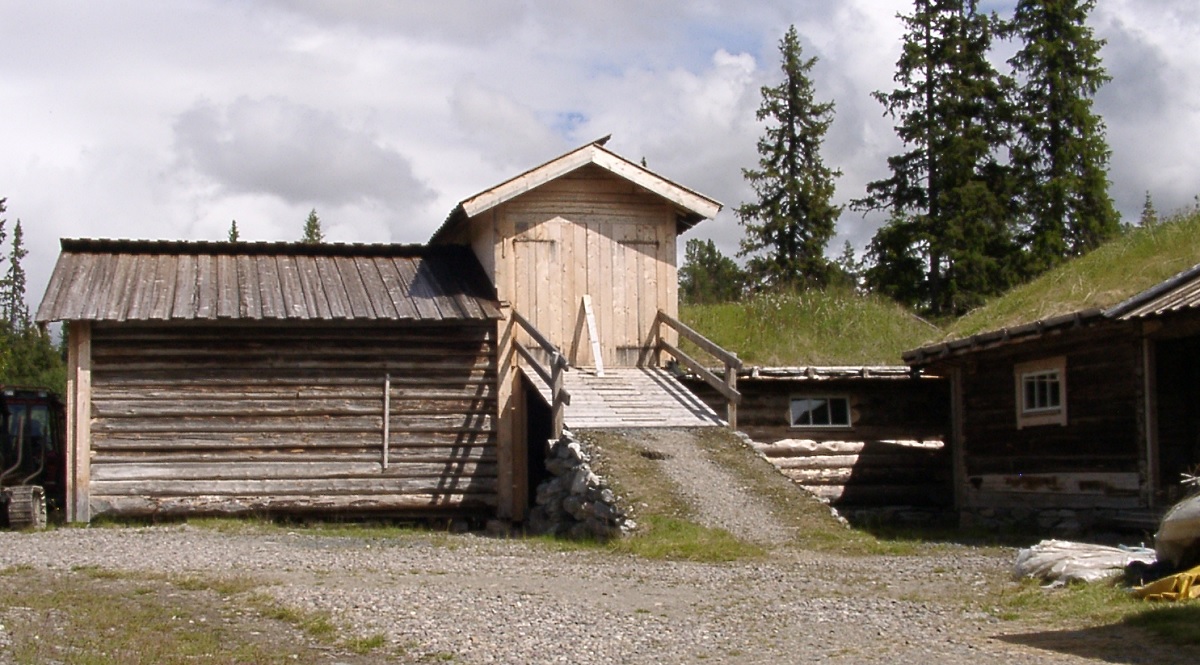 Fjös